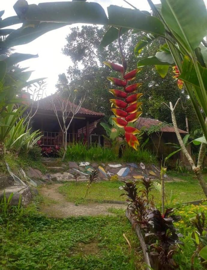 Sky Garden Lombok Apartment Tetebatu Exterior photo
